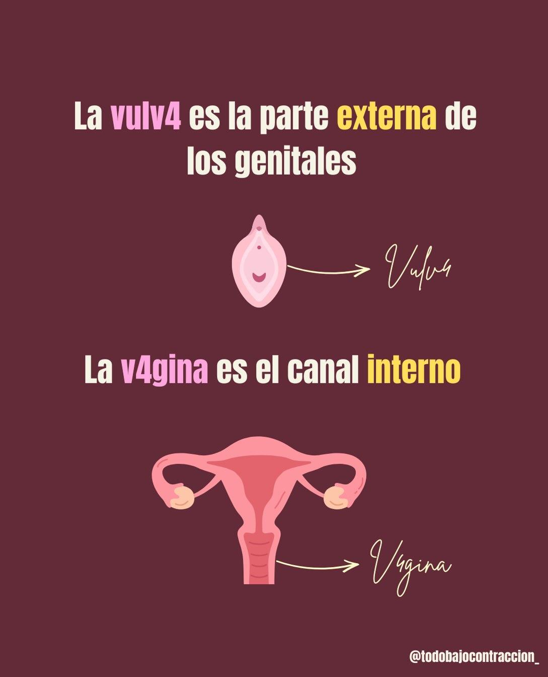 Carrusel ilustrado de Todo Bajo Contracción: Higiene vulvovaginal en el embarazo