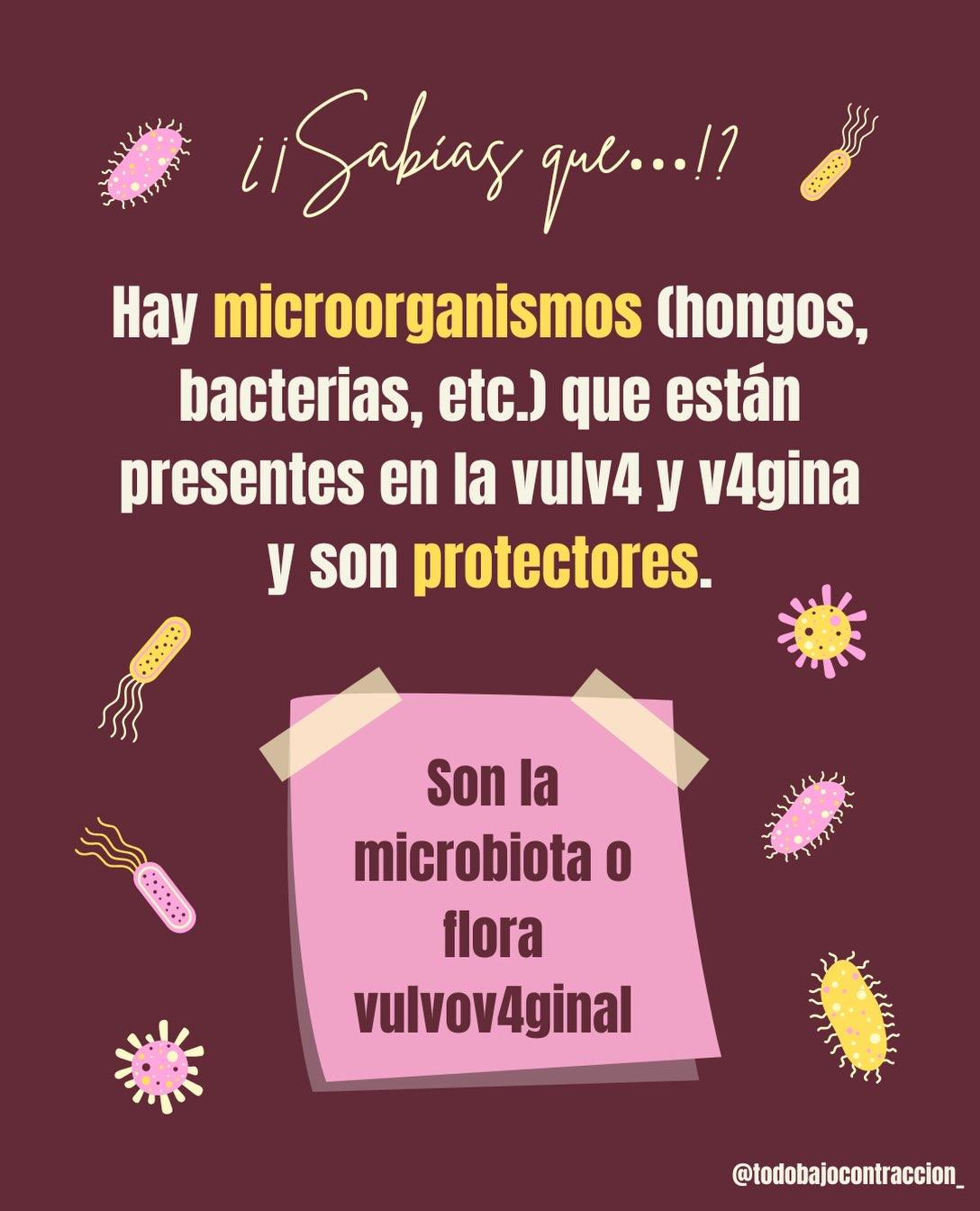 Carrusel ilustrado de Todo Bajo Contracción: Higiene vulvovaginal en el embarazo