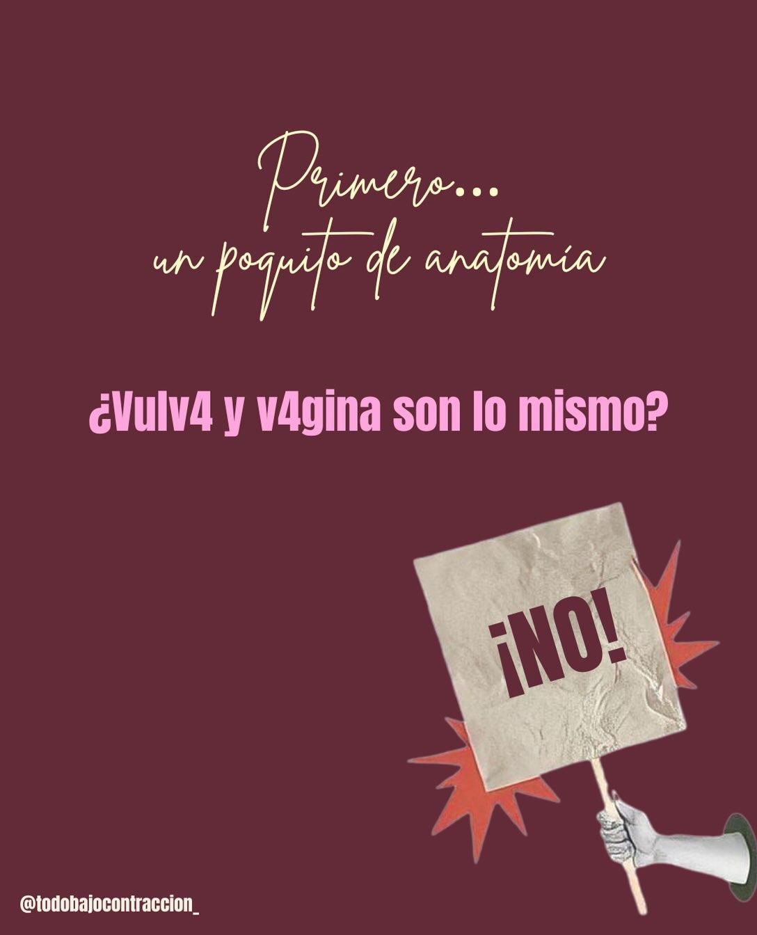 Carrusel ilustrado de Todo Bajo Contracción: Higiene vulvovaginal en el embarazo