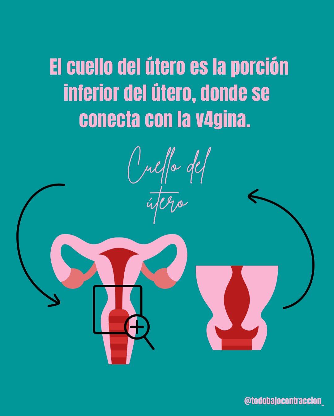 Carrusel ilustrado de Todo Bajo Contracción: Dilatación en el trabajo de parto