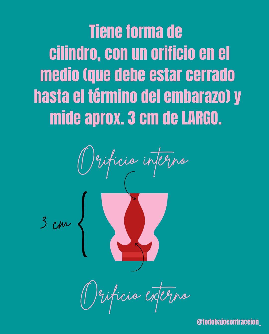Carrusel ilustrado de Todo Bajo Contracción: Dilatación en el trabajo de parto