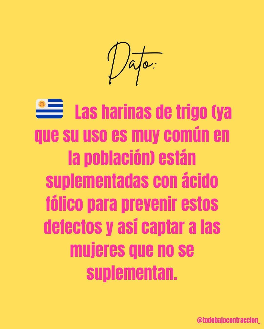 Carrusel ilustrado de Todo Bajo Contracción: Ácido fólico: lo que tenés que saber