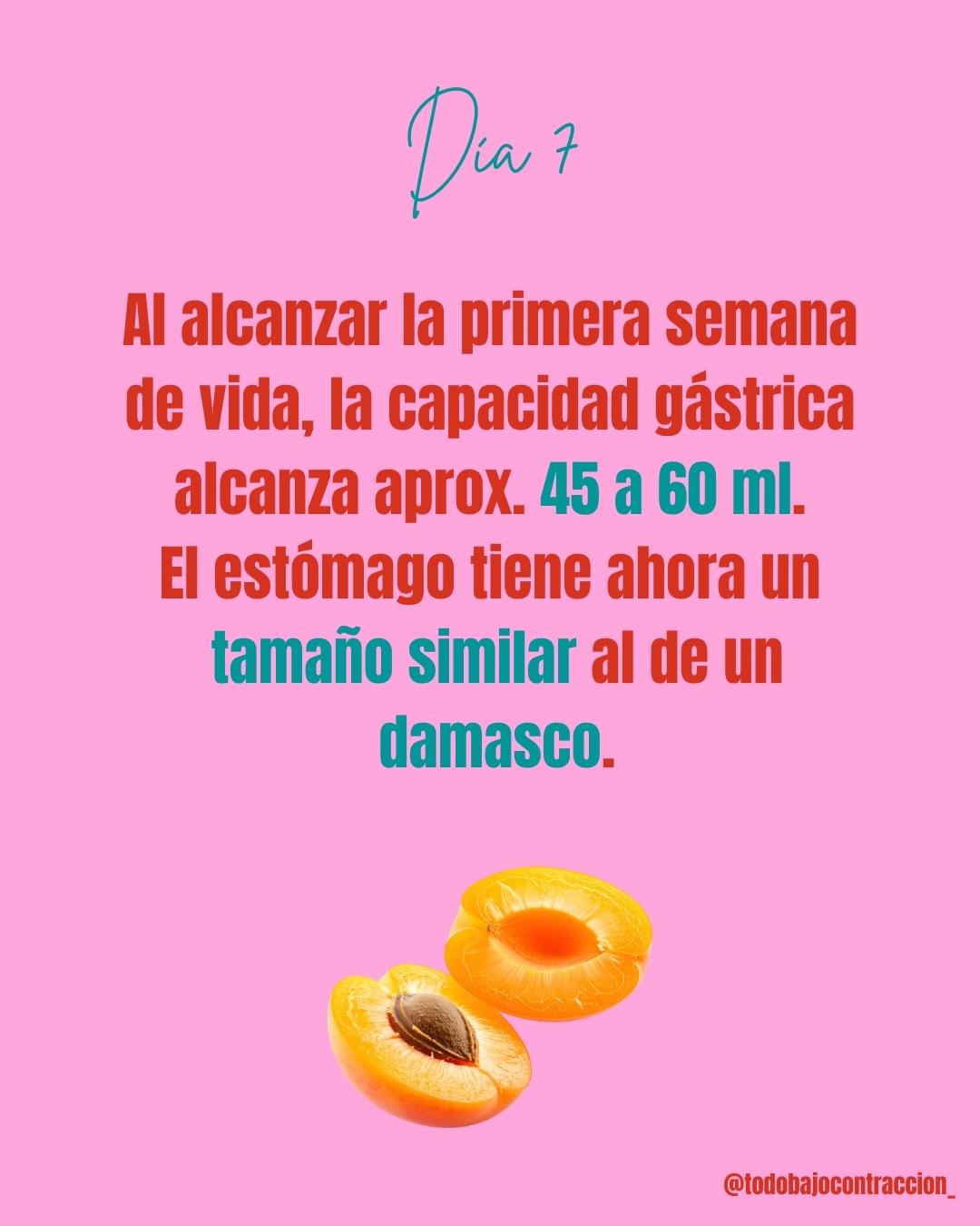 Carrusel ilustrado de Todo Bajo Contracción: ¿Mi leche es suficiente para el bebé?
