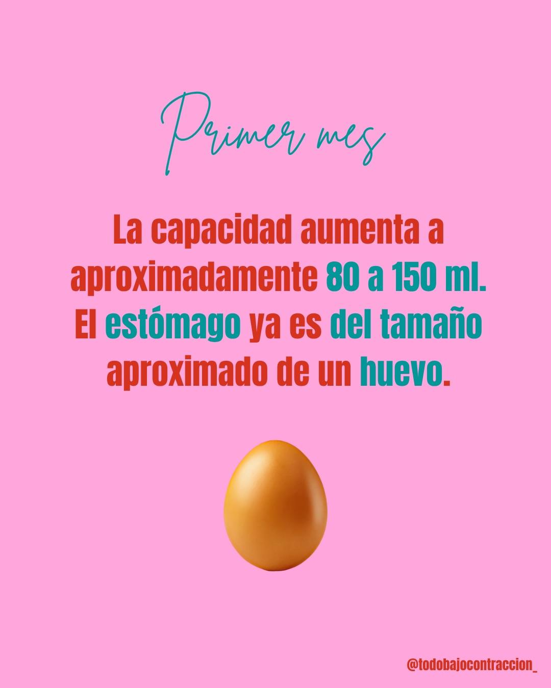 Carrusel ilustrado de Todo Bajo Contracción: ¿Mi leche es suficiente para el bebé?