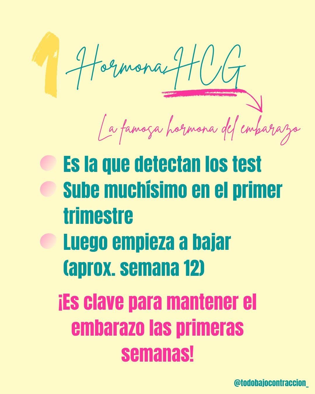 Carrusel ilustrado de Todo Bajo Contracción: Hormonas del embarazo y sus síntomas