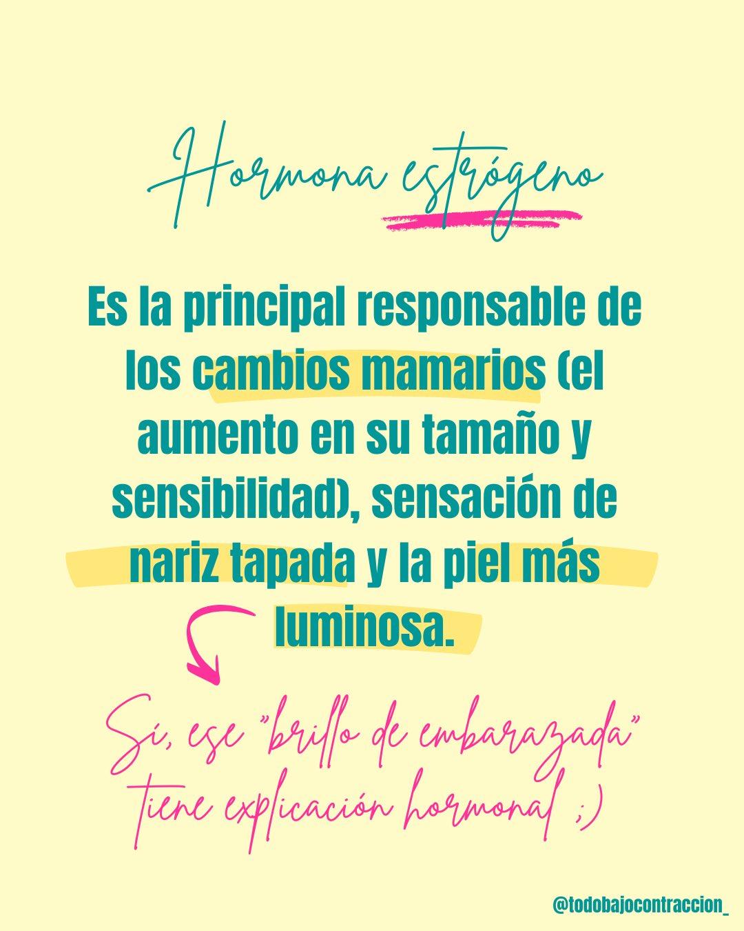 Carrusel ilustrado de Todo Bajo Contracción: Hormonas del embarazo y sus síntomas