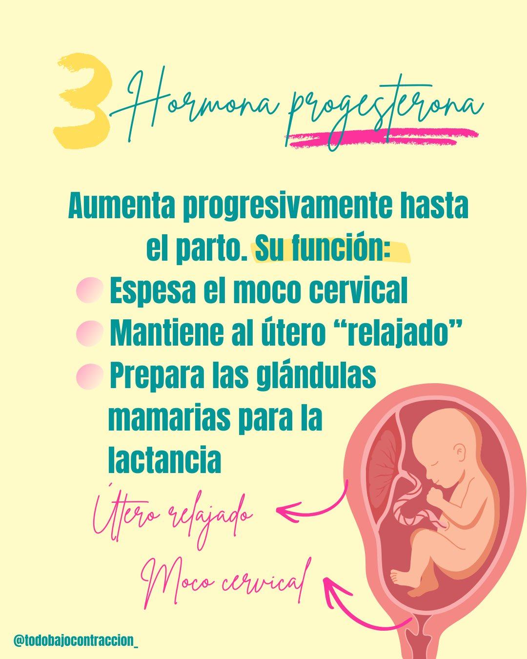 Carrusel ilustrado de Todo Bajo Contracción: Hormonas del embarazo y sus síntomas