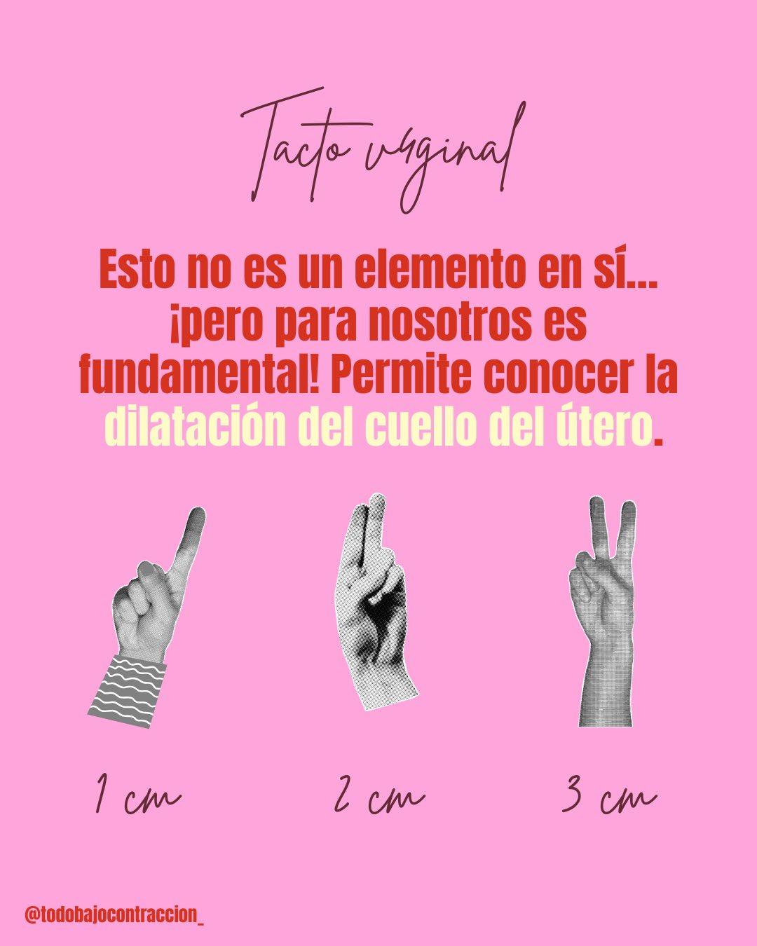 Carrusel ilustrado de Todo Bajo Contracción: Qué miramos en los controles del embarazo