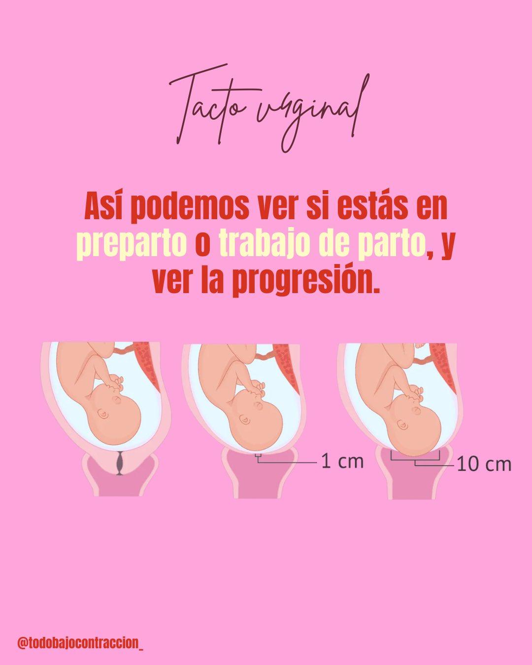 Carrusel ilustrado de Todo Bajo Contracción: Qué miramos en los controles del embarazo