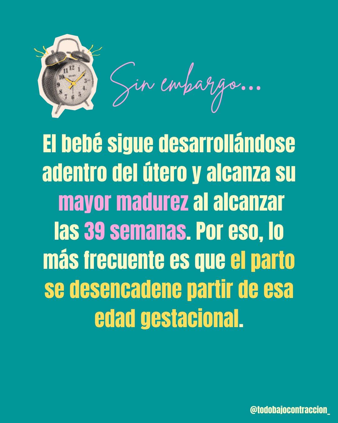 Carrusel ilustrado de Todo Bajo Contracción: ¿Cuándo va a nacer mi bebé?