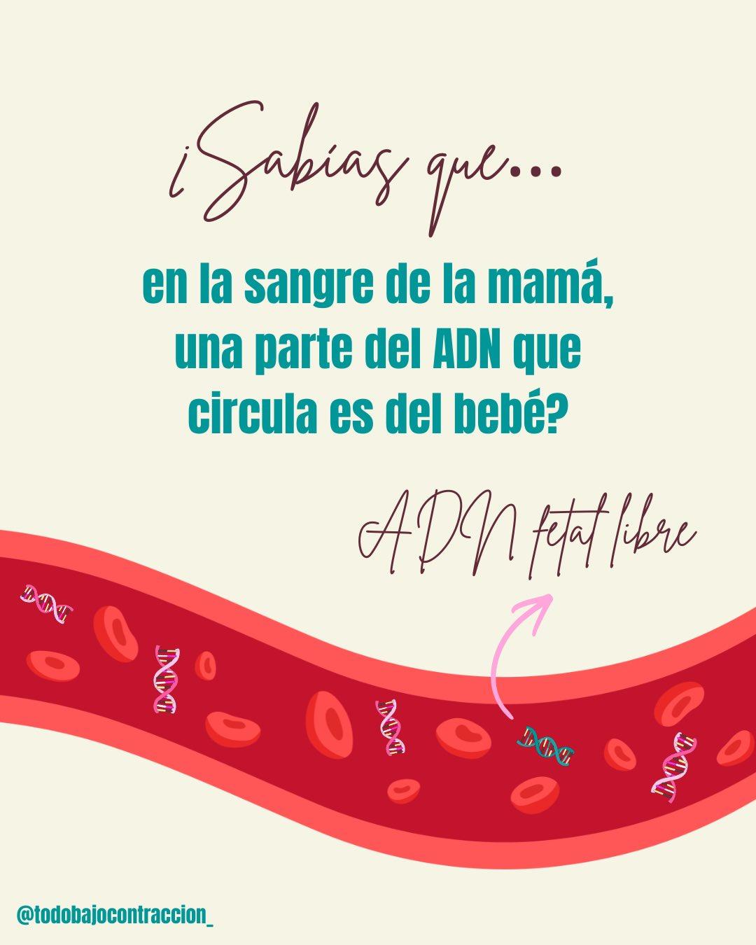 Carrusel ilustrado de Todo Bajo Contracción: Test de ADN fetal: qué es y cuándo hacerlo