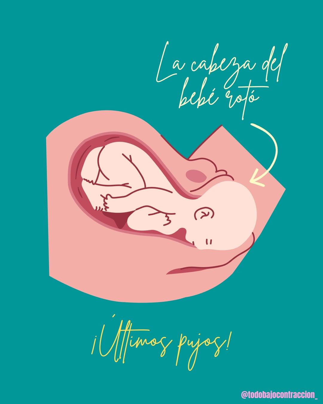Carrusel ilustrado de Todo Bajo Contracción: Etapas del trabajo de parto