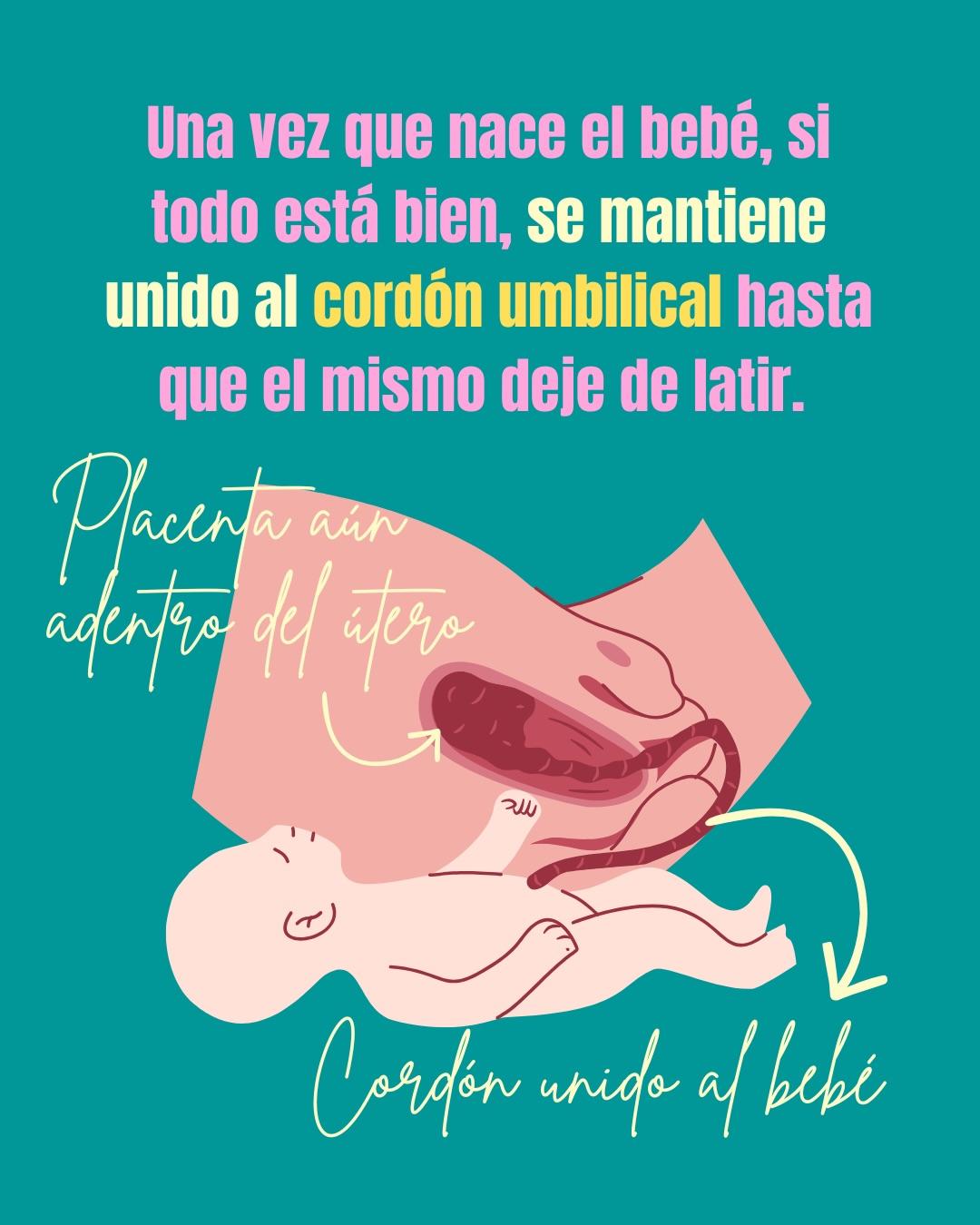 Carrusel ilustrado de Todo Bajo Contracción: Etapas del trabajo de parto