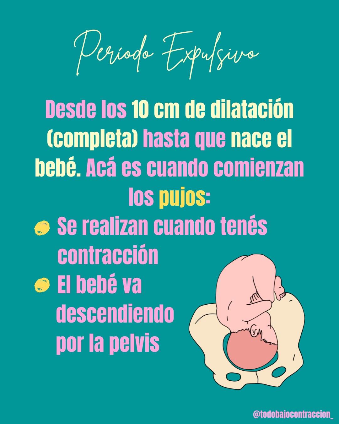 Carrusel ilustrado de Todo Bajo Contracción: Etapas del trabajo de parto