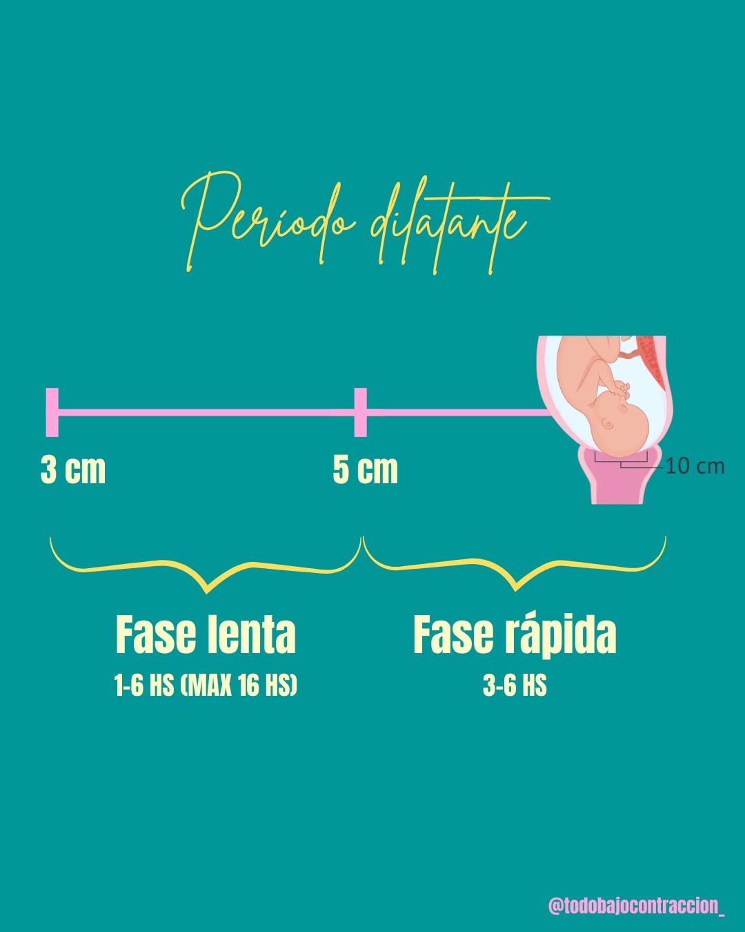 Carrusel ilustrado de Todo Bajo Contracción: Etapas del trabajo de parto
