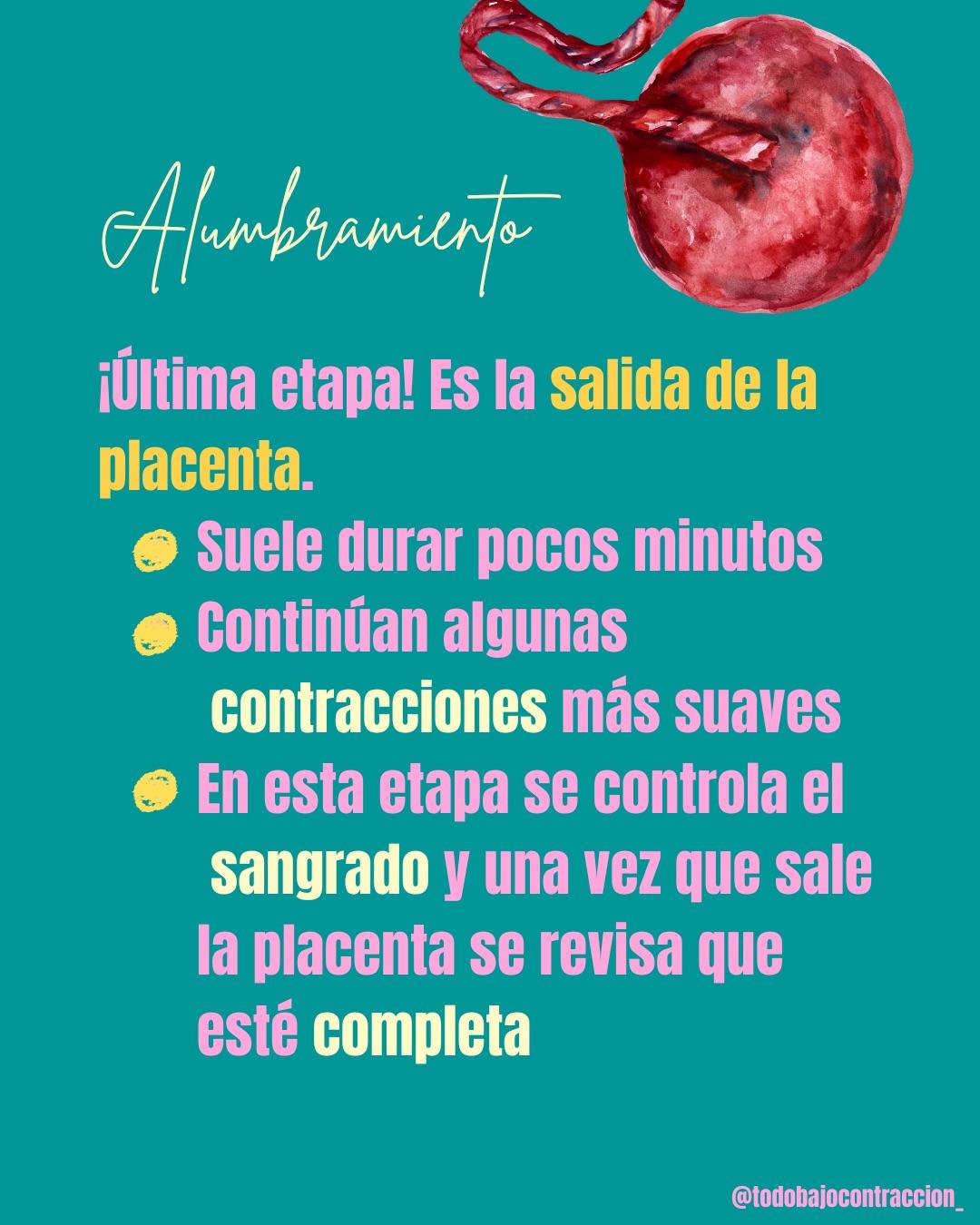 Carrusel ilustrado de Todo Bajo Contracción: Etapas del trabajo de parto