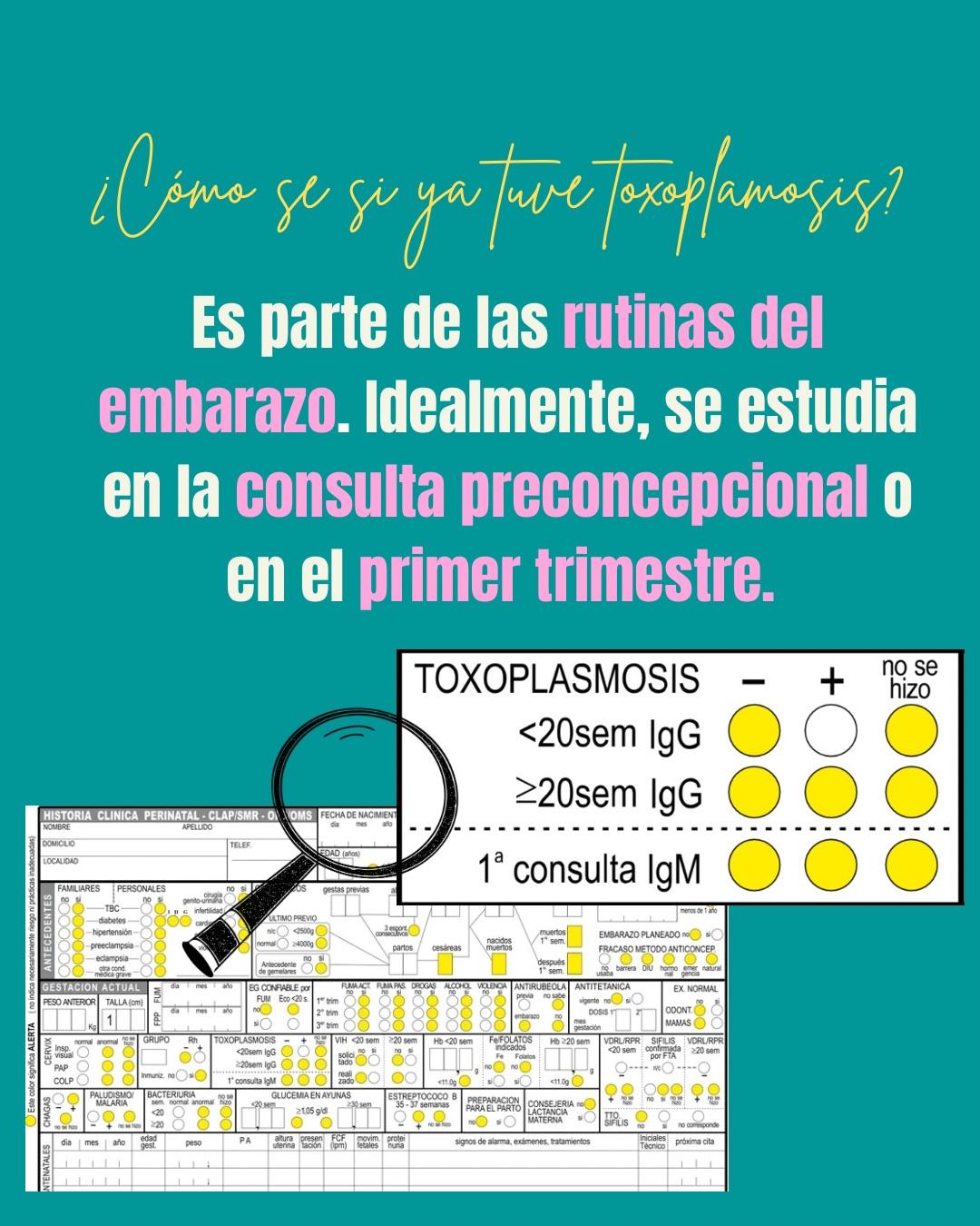 Carrusel ilustrado de Todo Bajo Contracción: Toxoplasmosis en el embarazo: cómo prevenirla