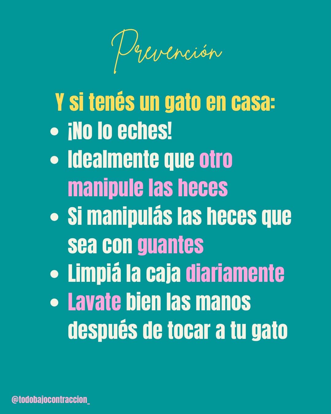 Carrusel ilustrado de Todo Bajo Contracción: Toxoplasmosis en el embarazo: cómo prevenirla