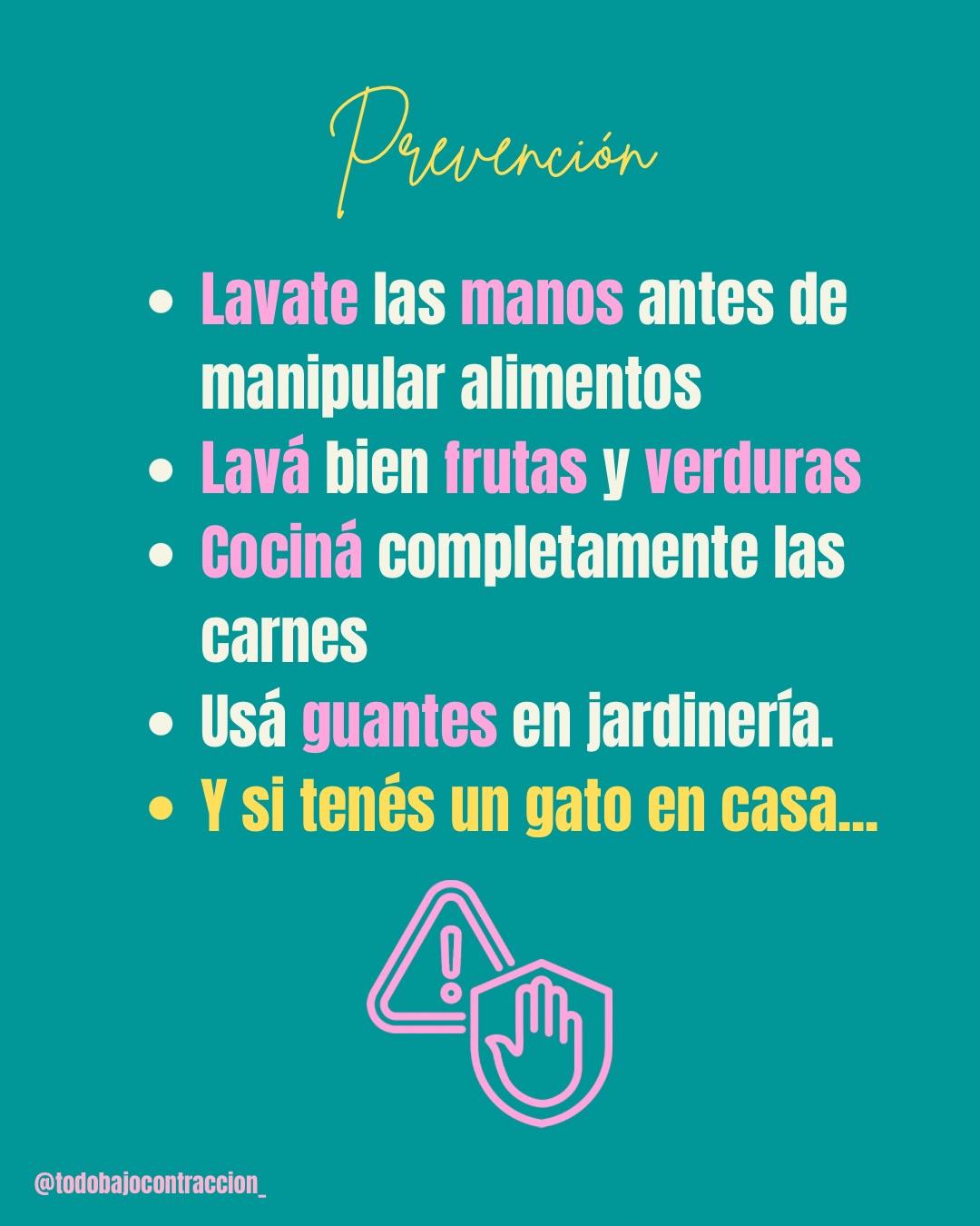 Carrusel ilustrado de Todo Bajo Contracción: Toxoplasmosis en el embarazo: cómo prevenirla