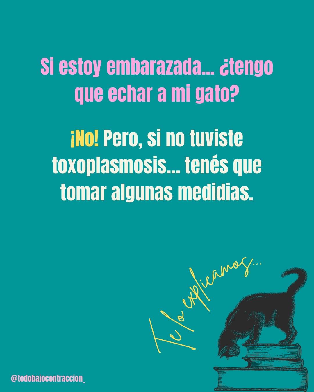 Carrusel ilustrado de Todo Bajo Contracción: Toxoplasmosis en el embarazo: cómo prevenirla