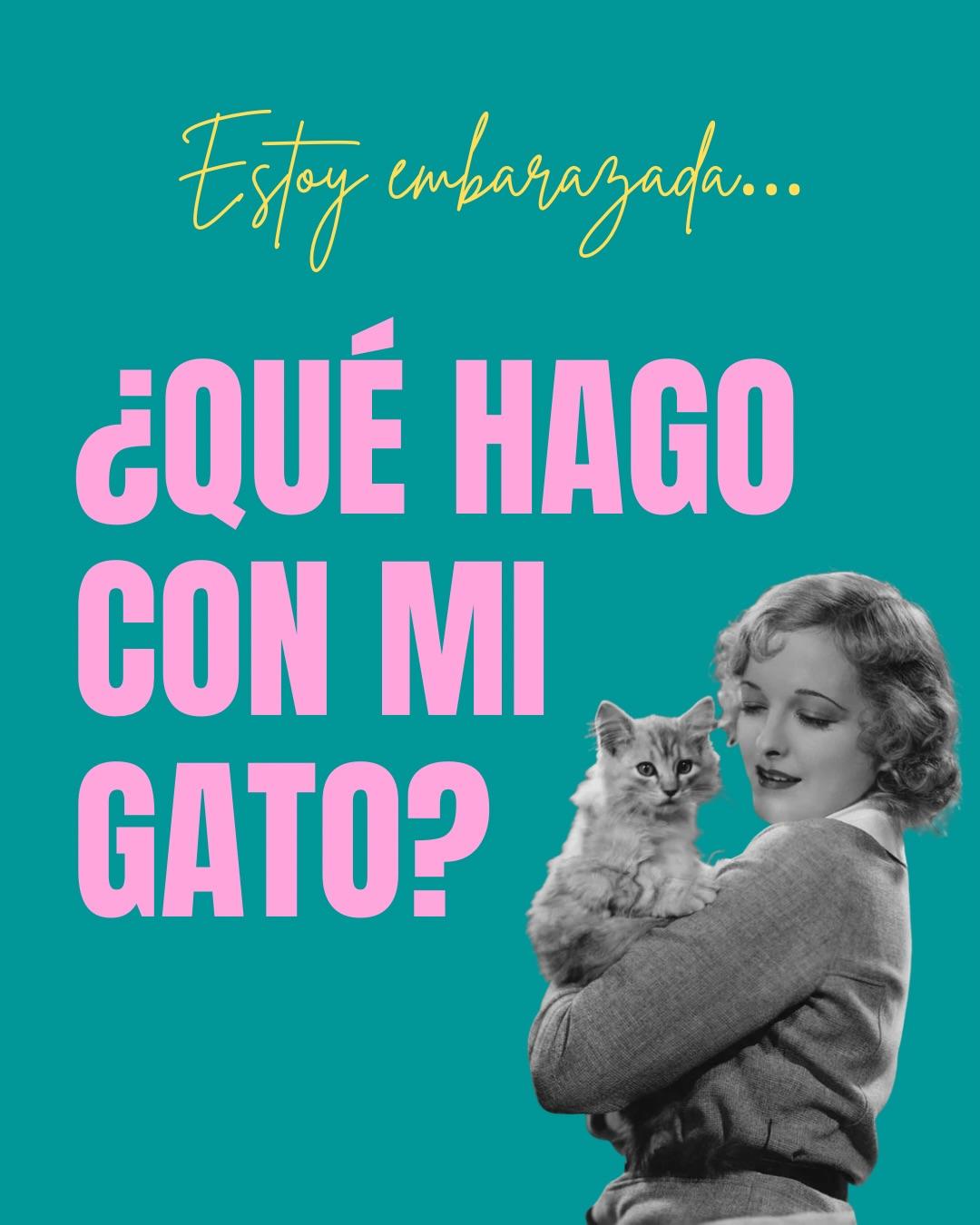 Carrusel ilustrado de Todo Bajo Contracción: Toxoplasmosis en el embarazo: cómo prevenirla
