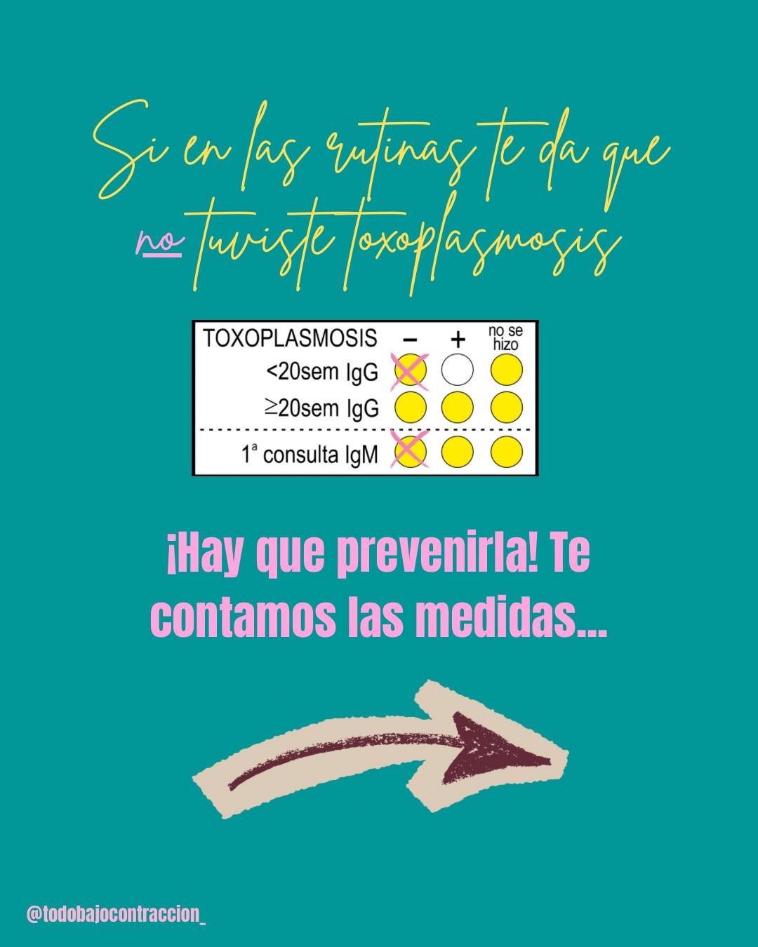 Carrusel ilustrado de Todo Bajo Contracción: Toxoplasmosis en el embarazo: cómo prevenirla