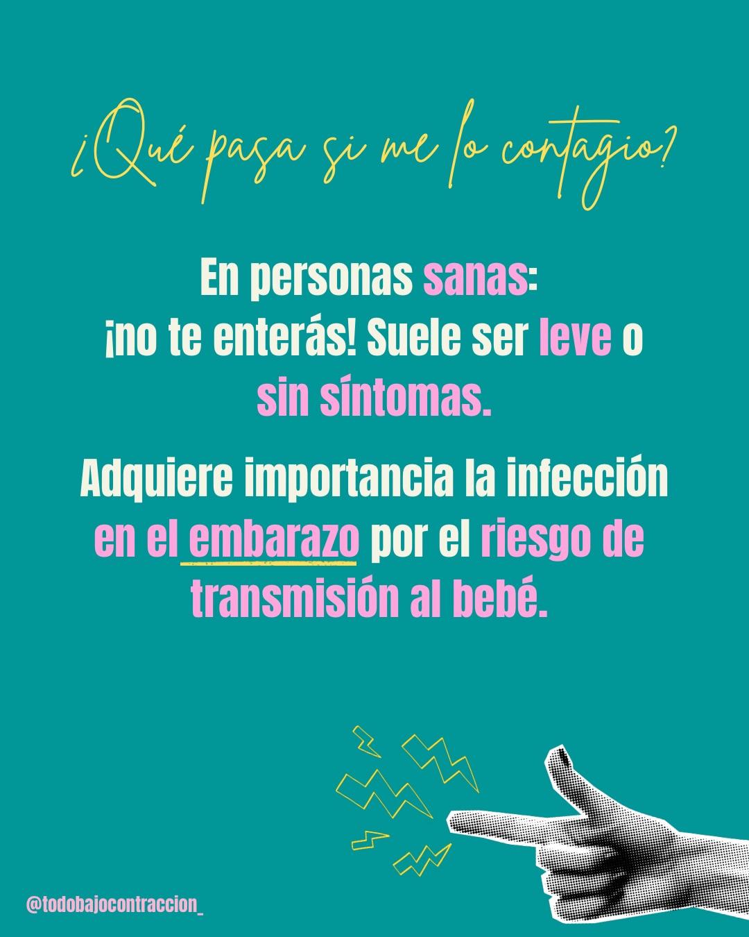 Carrusel ilustrado de Todo Bajo Contracción: Toxoplasmosis en el embarazo: cómo prevenirla