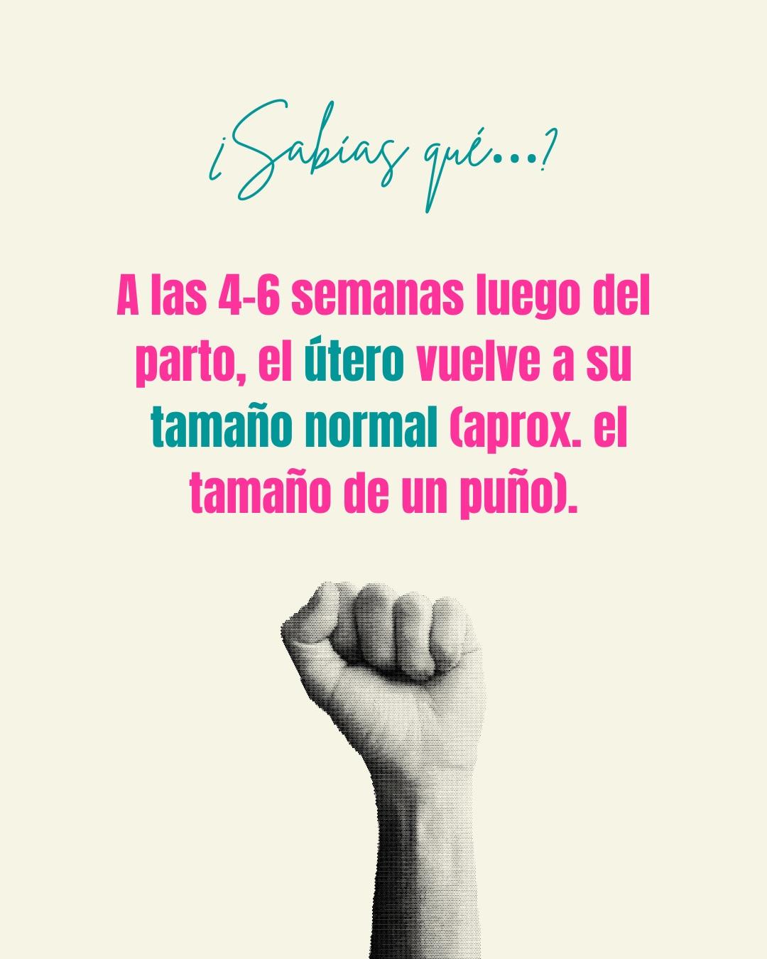 Carrusel ilustrado de Todo Bajo Contracción: Loquios: el sangrado posparto