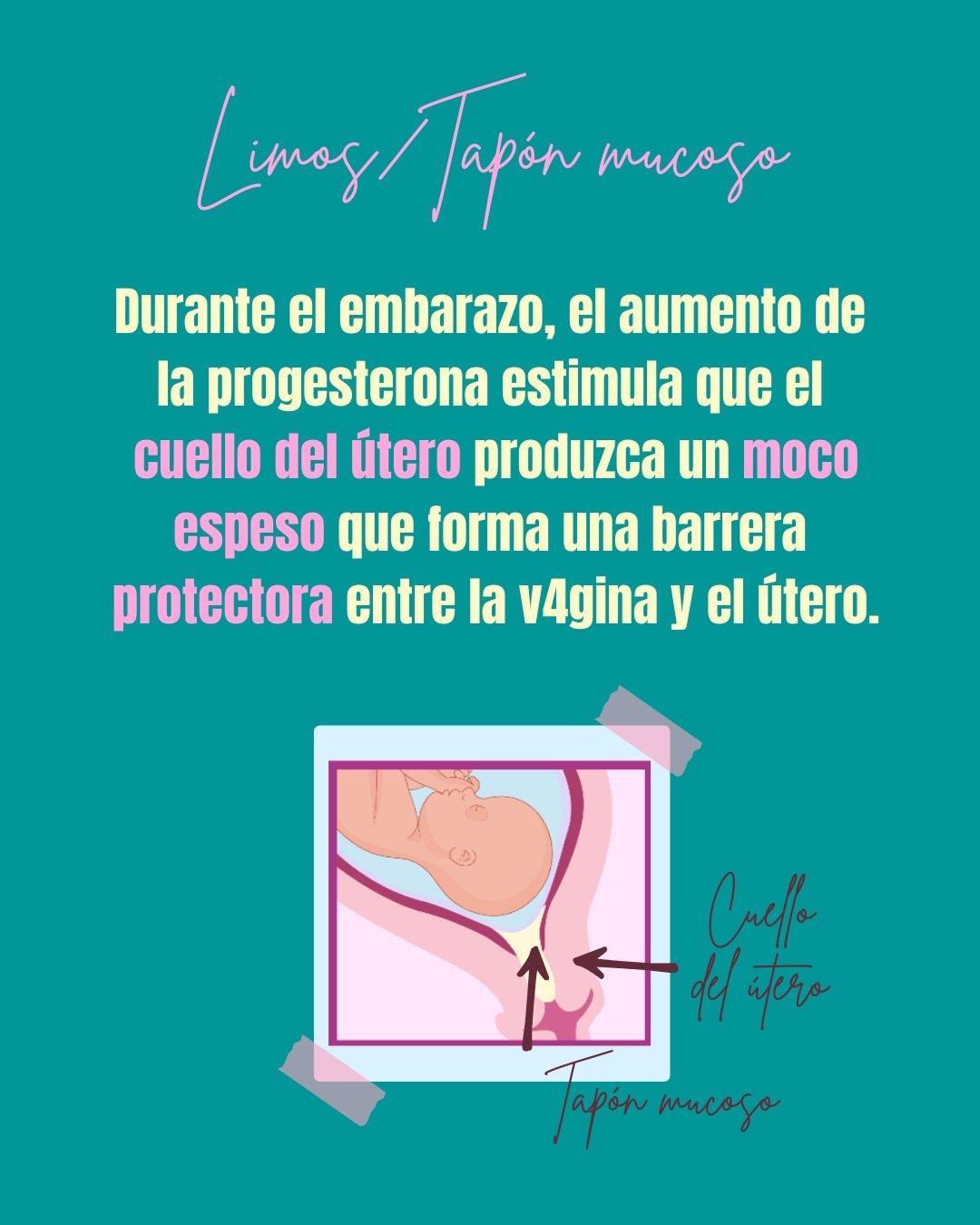 Carrusel ilustrado de Todo Bajo Contracción: Diccionario del embarazo y el posparto