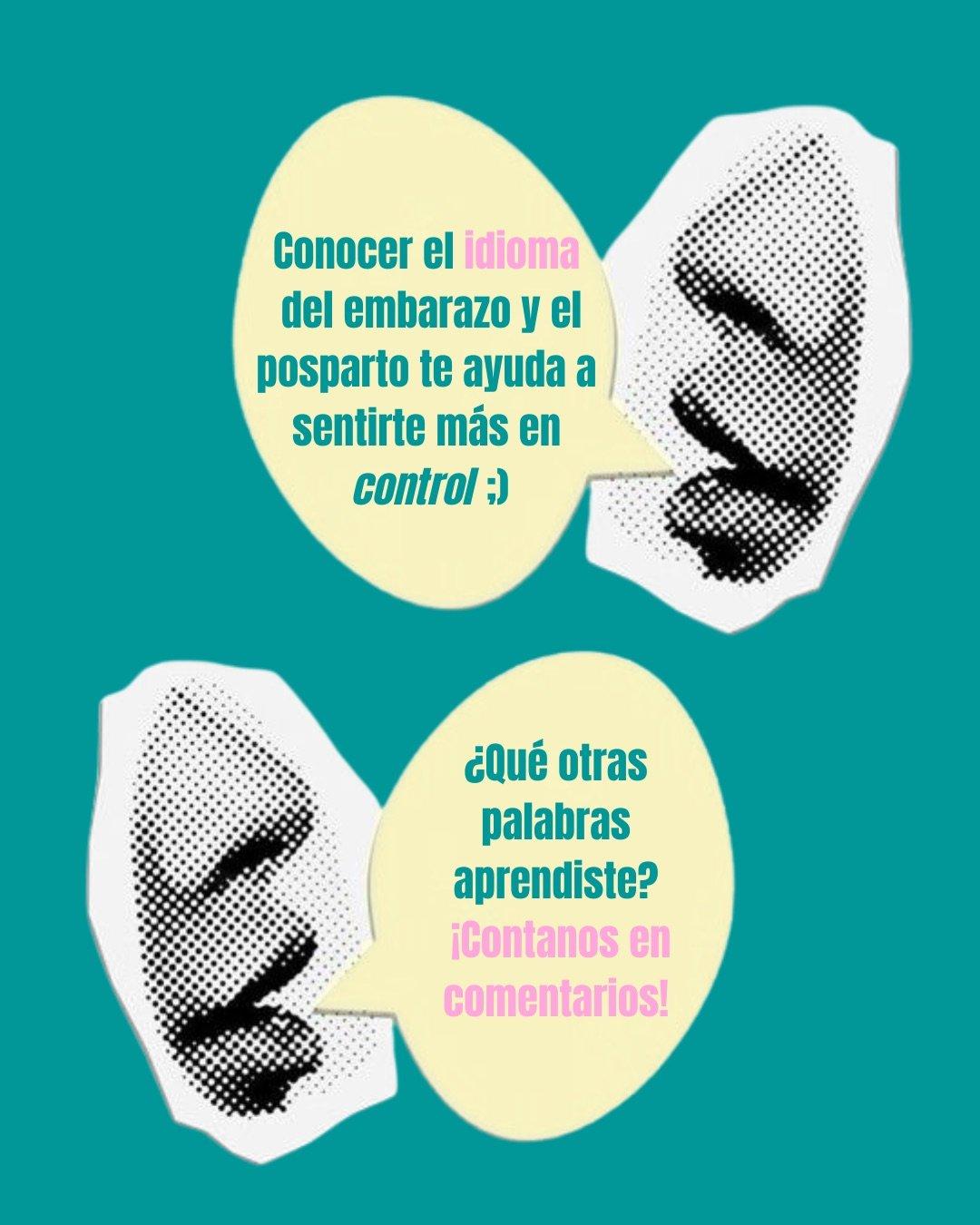 Carrusel ilustrado de Todo Bajo Contracción: Diccionario del embarazo y el posparto