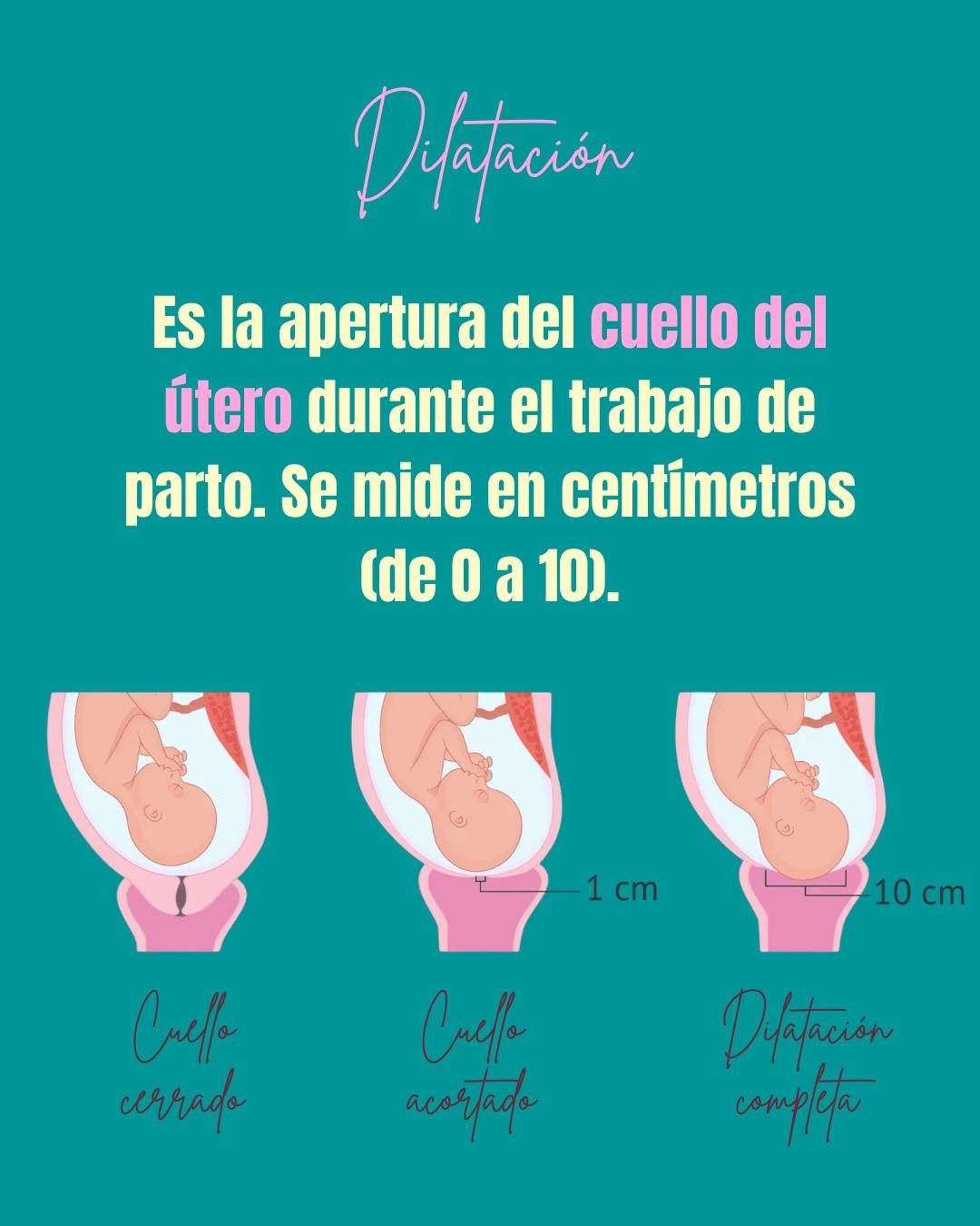 Carrusel ilustrado de Todo Bajo Contracción: Diccionario del embarazo y el posparto