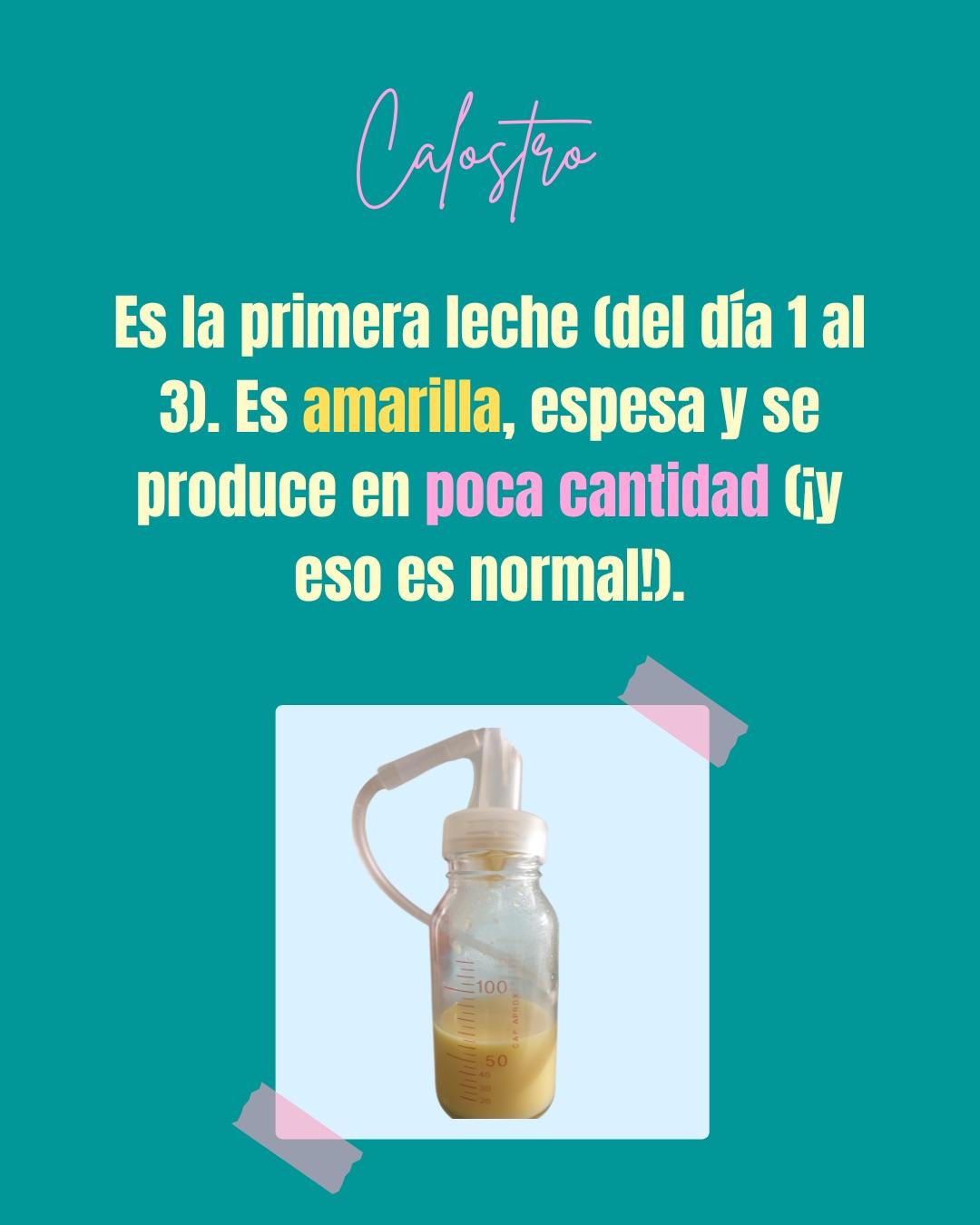 Carrusel ilustrado de Todo Bajo Contracción: Diccionario del embarazo y el posparto