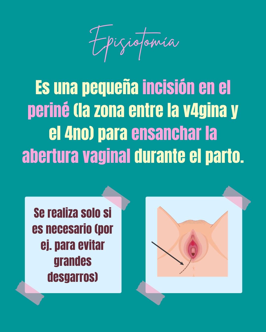Carrusel ilustrado de Todo Bajo Contracción: Diccionario del embarazo y el posparto