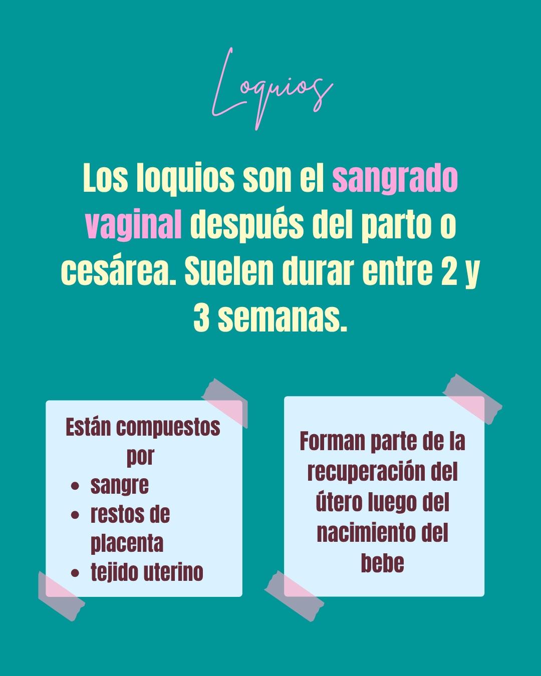 Carrusel ilustrado de Todo Bajo Contracción: Diccionario del embarazo y el posparto