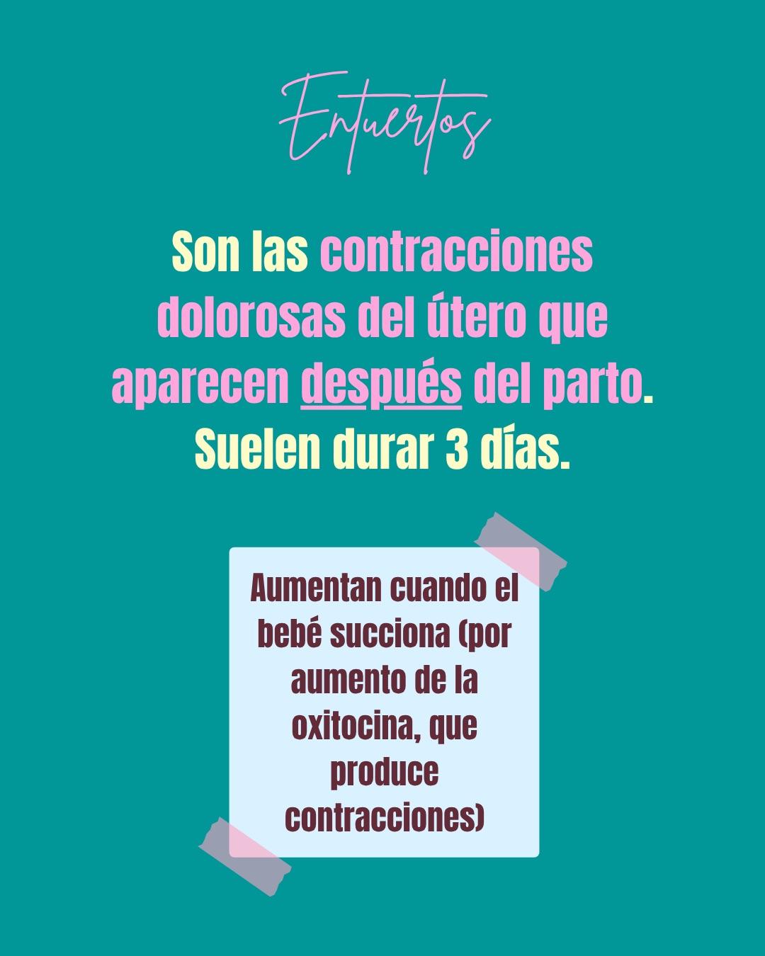 Carrusel ilustrado de Todo Bajo Contracción: Diccionario del embarazo y el posparto