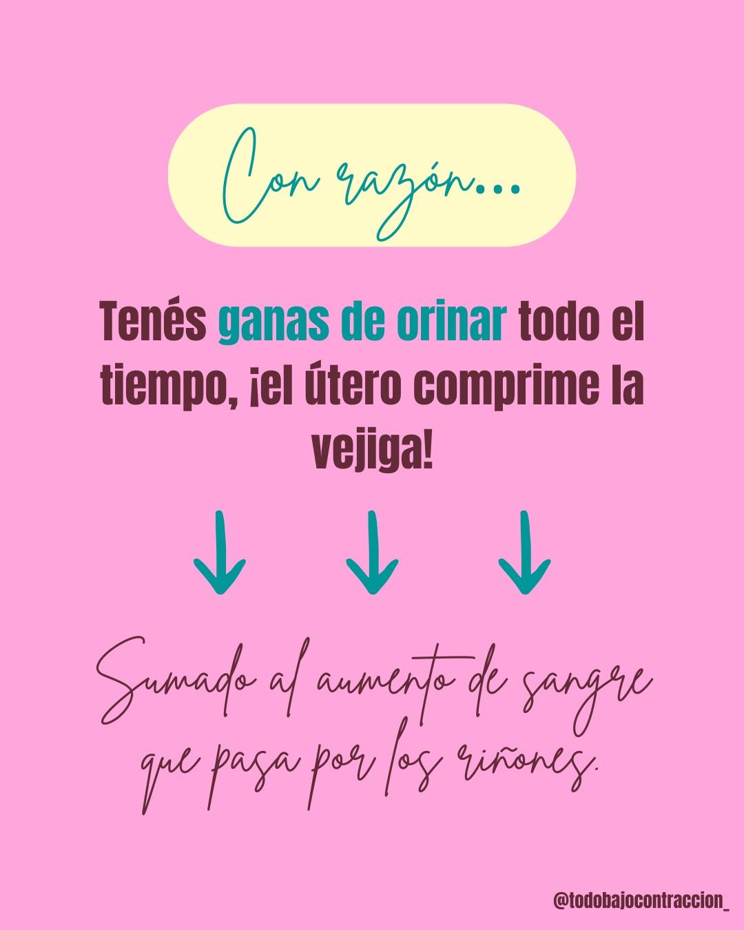 Carrusel ilustrado de Todo Bajo Contracción: Síntomas del tercer trimestre y por qué pasan