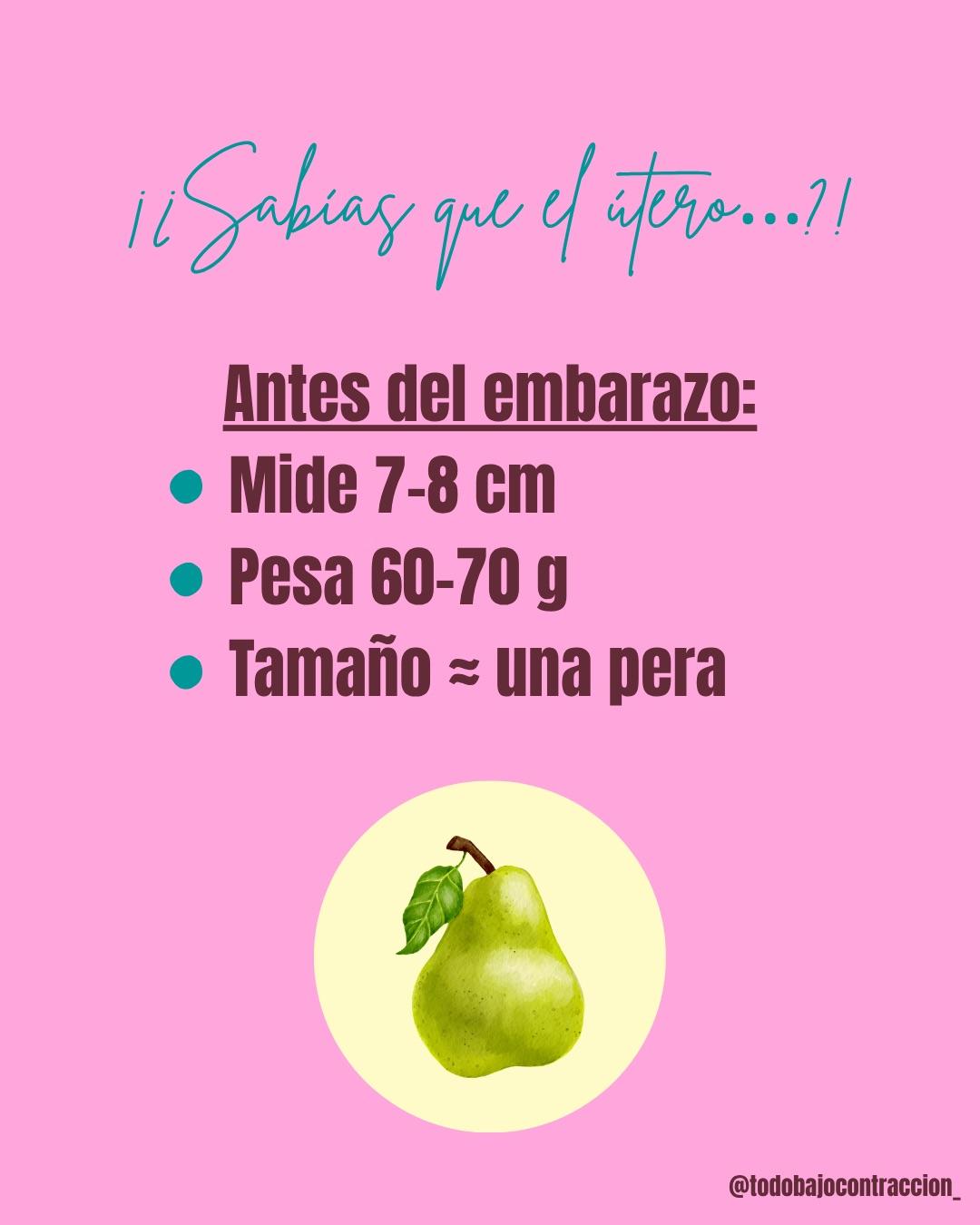 Carrusel ilustrado de Todo Bajo Contracción: Síntomas del tercer trimestre y por qué pasan