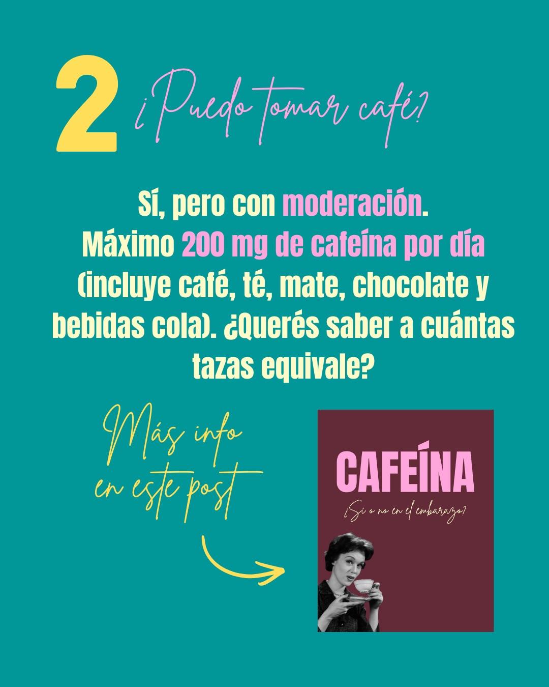 Carrusel ilustrado de Todo Bajo Contracción: Manual de supervivencia para el embarazo