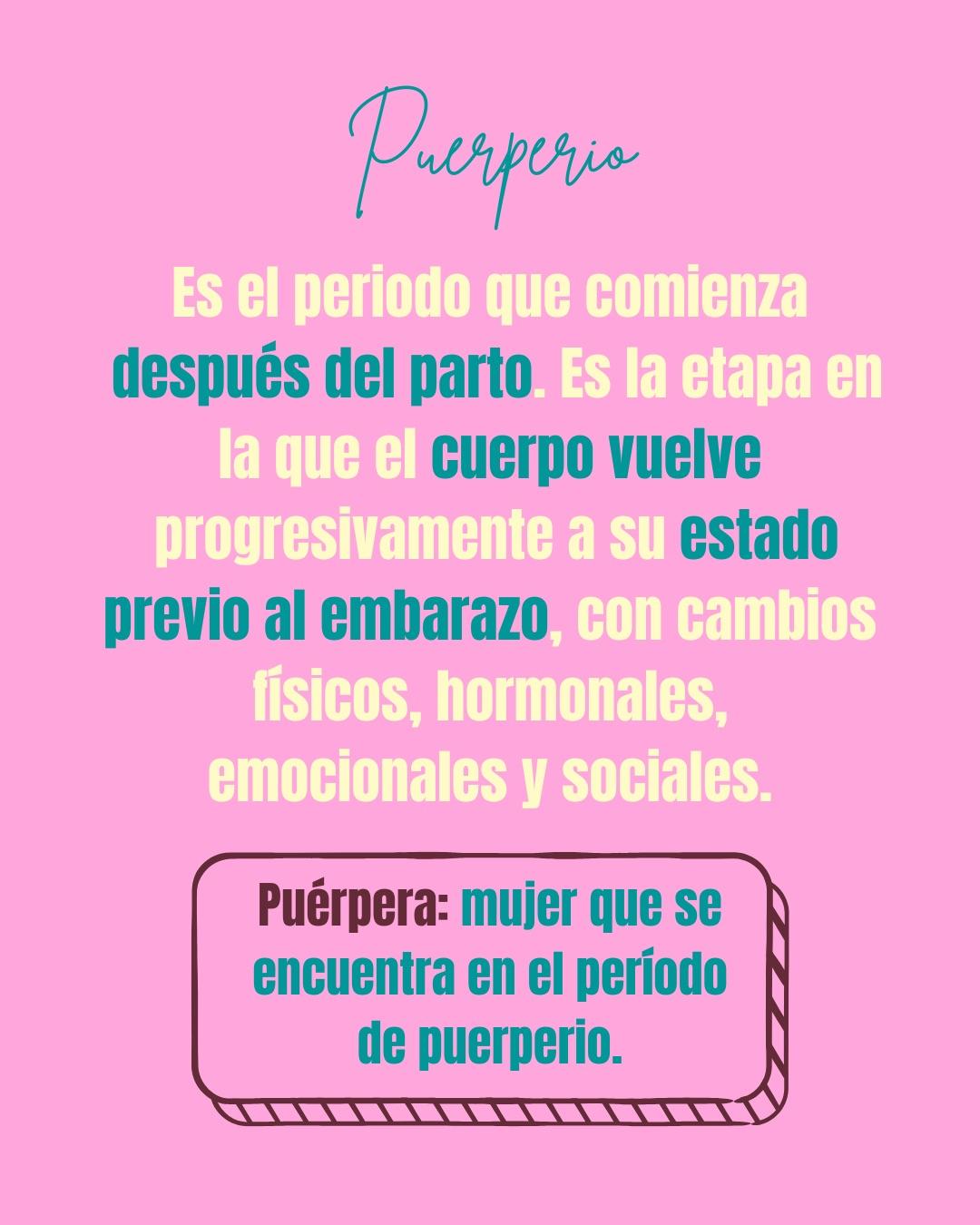Carrusel ilustrado de Todo Bajo Contracción: Diccionario del embarazo y el posparto (2da ed.)