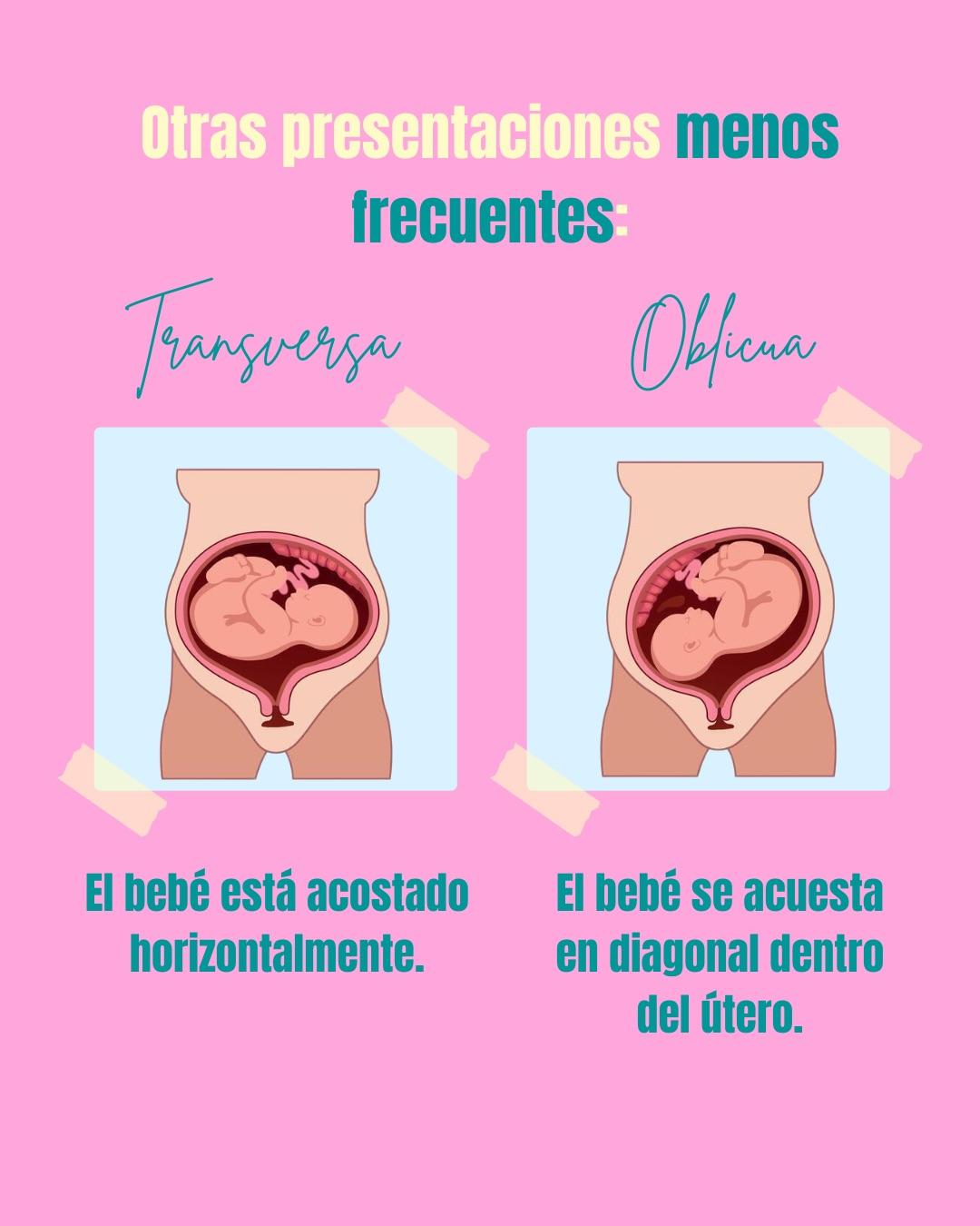 Carrusel ilustrado de Todo Bajo Contracción: Diccionario del embarazo y el posparto (2da ed.)