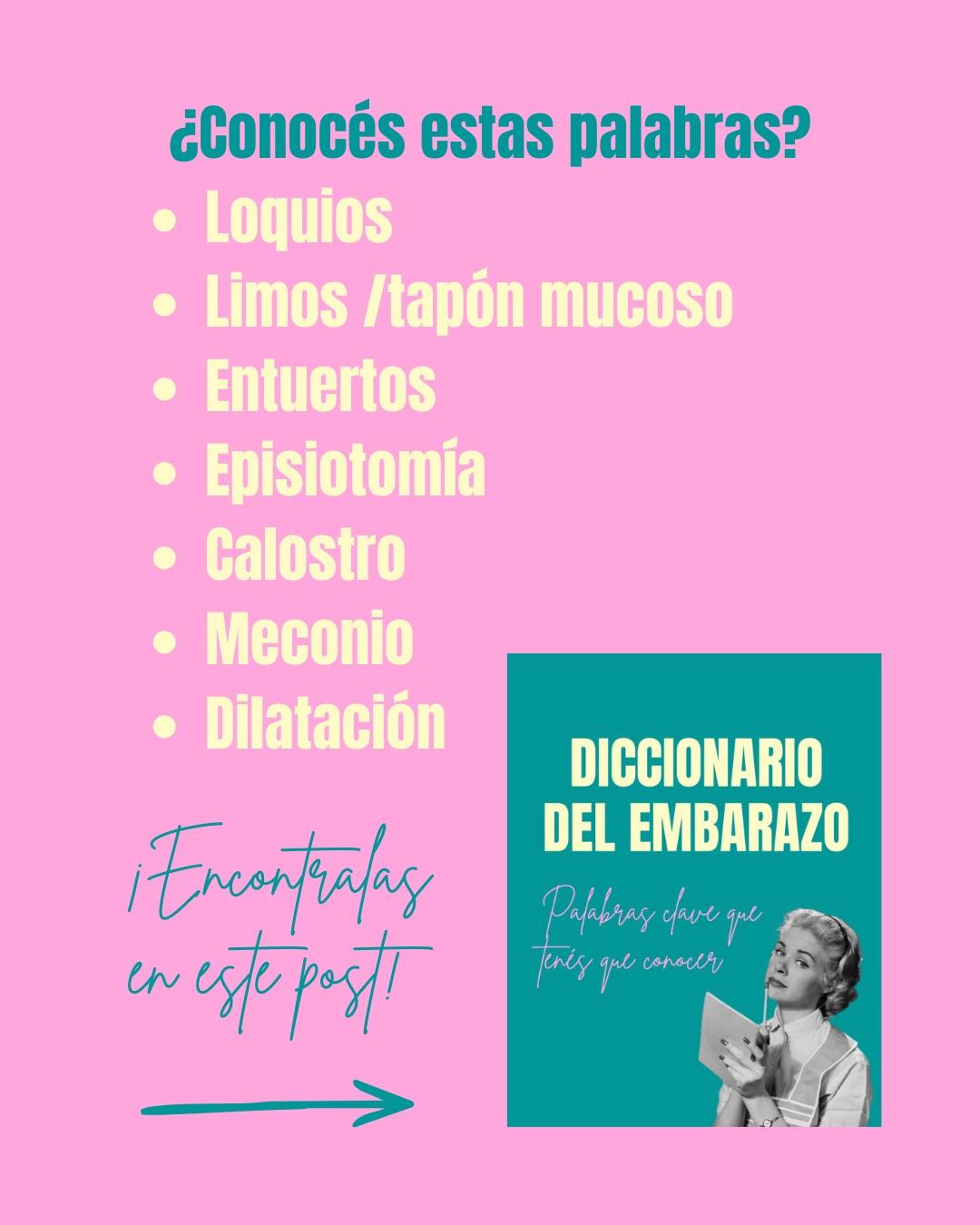 Carrusel ilustrado de Todo Bajo Contracción: Diccionario del embarazo y el posparto (2da ed.)