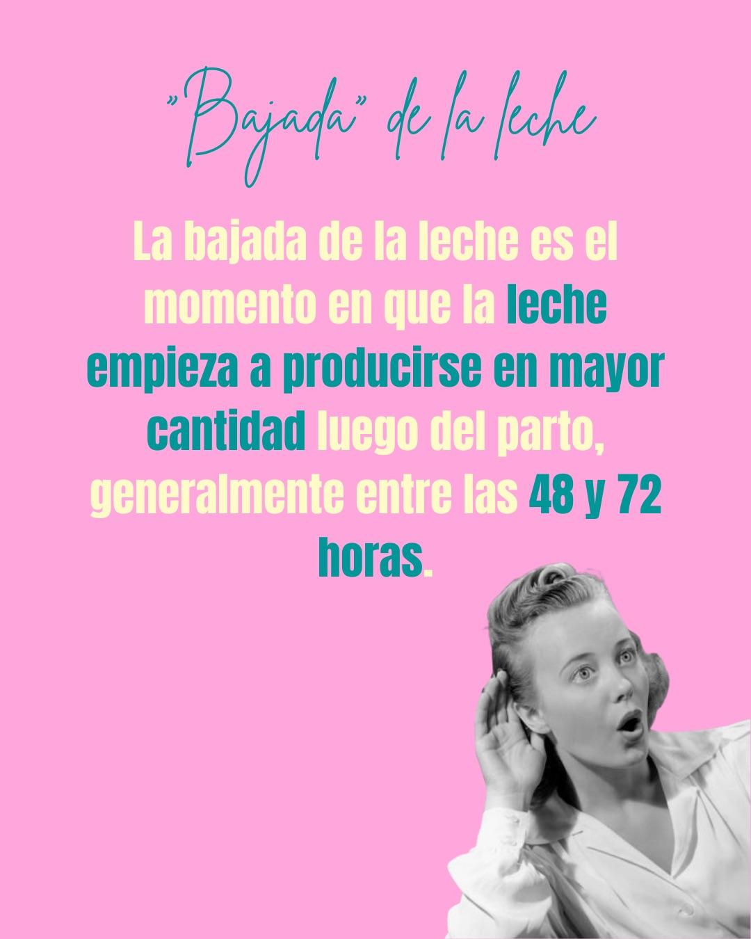 Carrusel ilustrado de Todo Bajo Contracción: Diccionario del embarazo y el posparto (2da ed.)