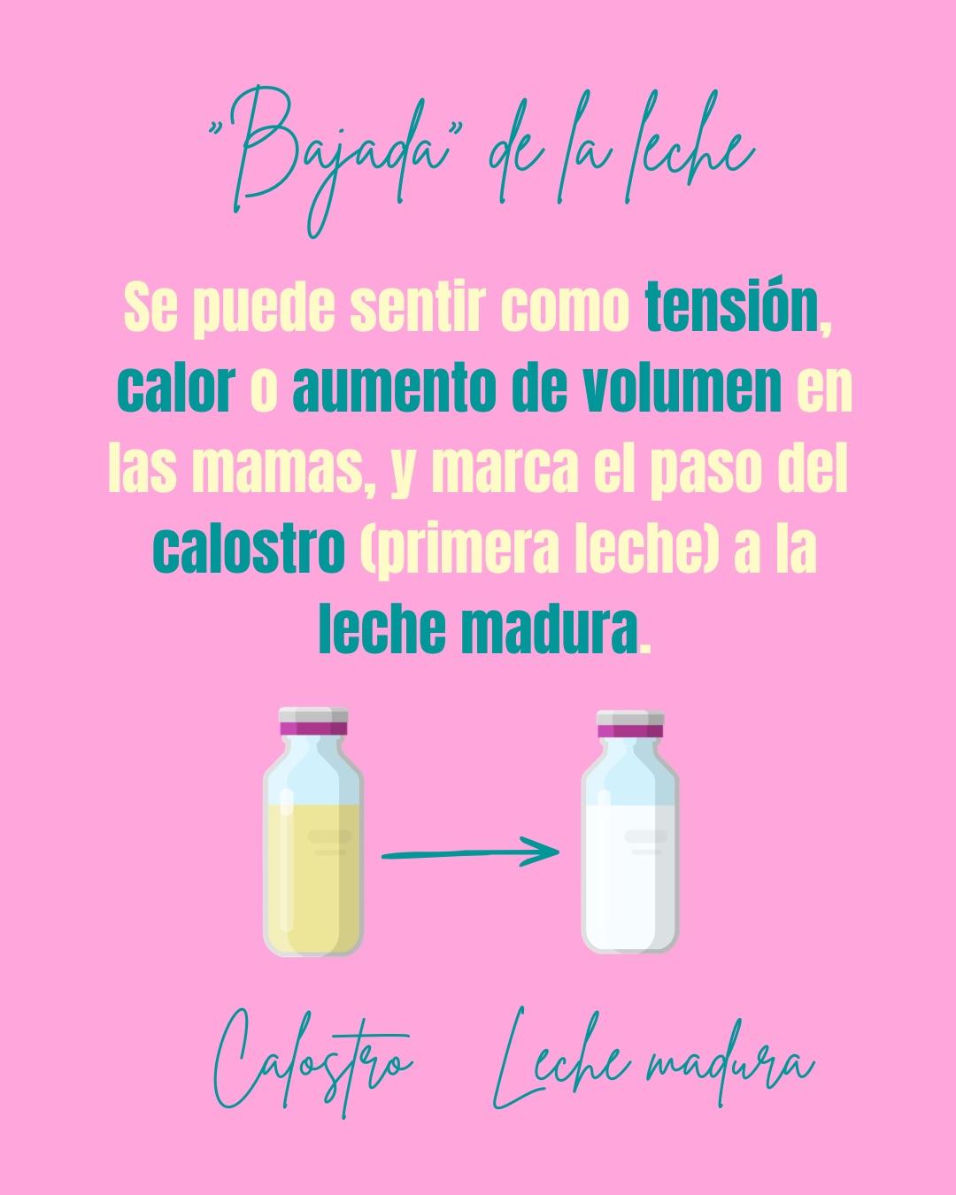 Carrusel ilustrado de Todo Bajo Contracción: Diccionario del embarazo y el posparto (2da ed.)