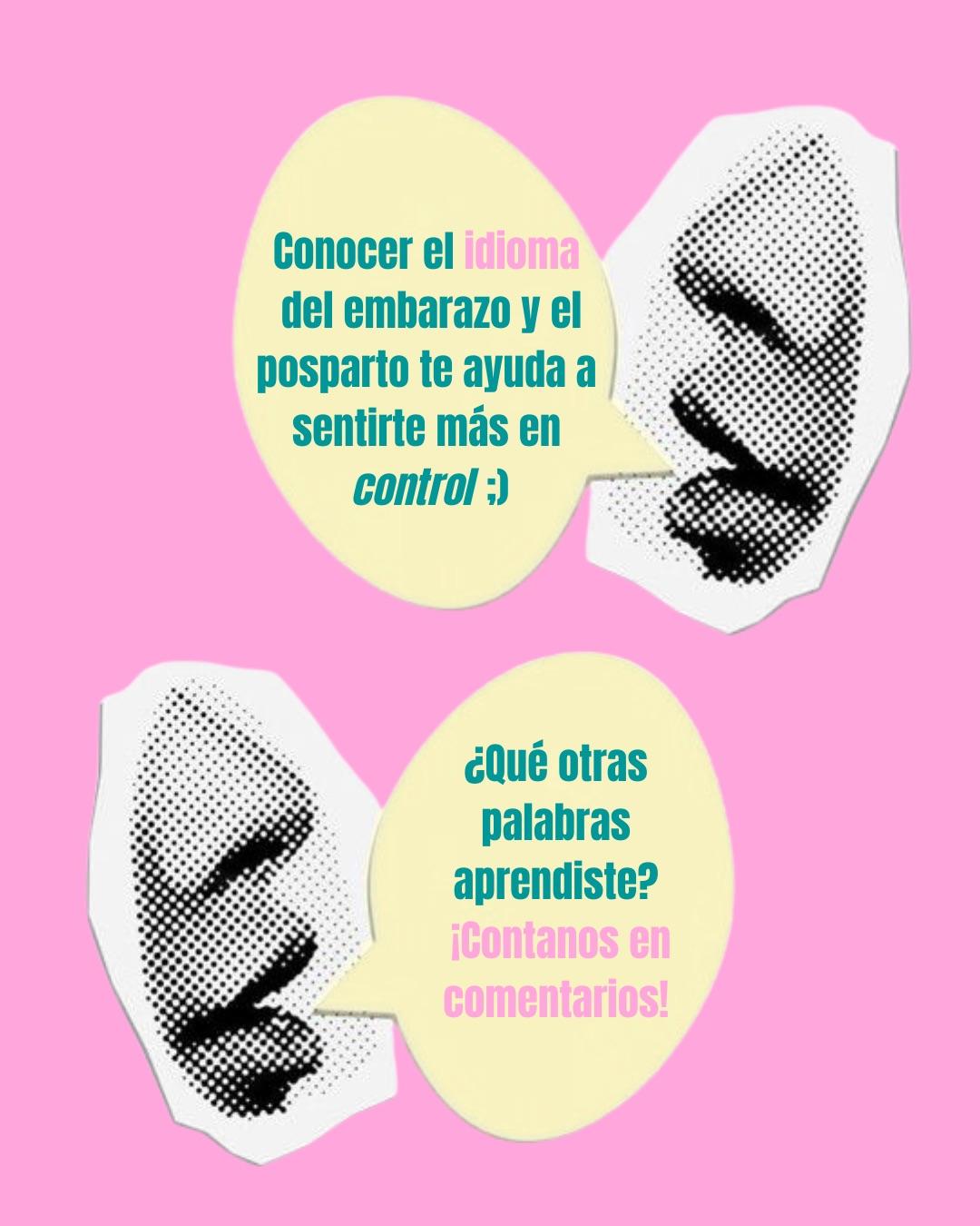 Carrusel ilustrado de Todo Bajo Contracción: Diccionario del embarazo y el posparto (2da ed.)