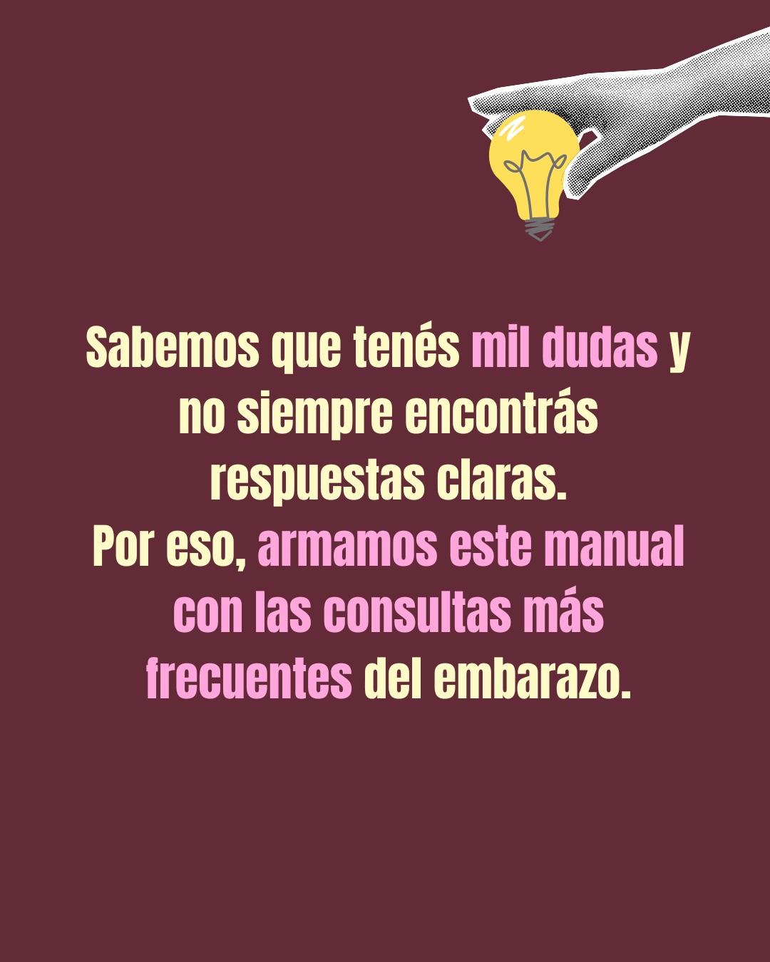 Carrusel ilustrado de Todo Bajo Contracción: Manual de supervivencia del embarazo (2da ed.)