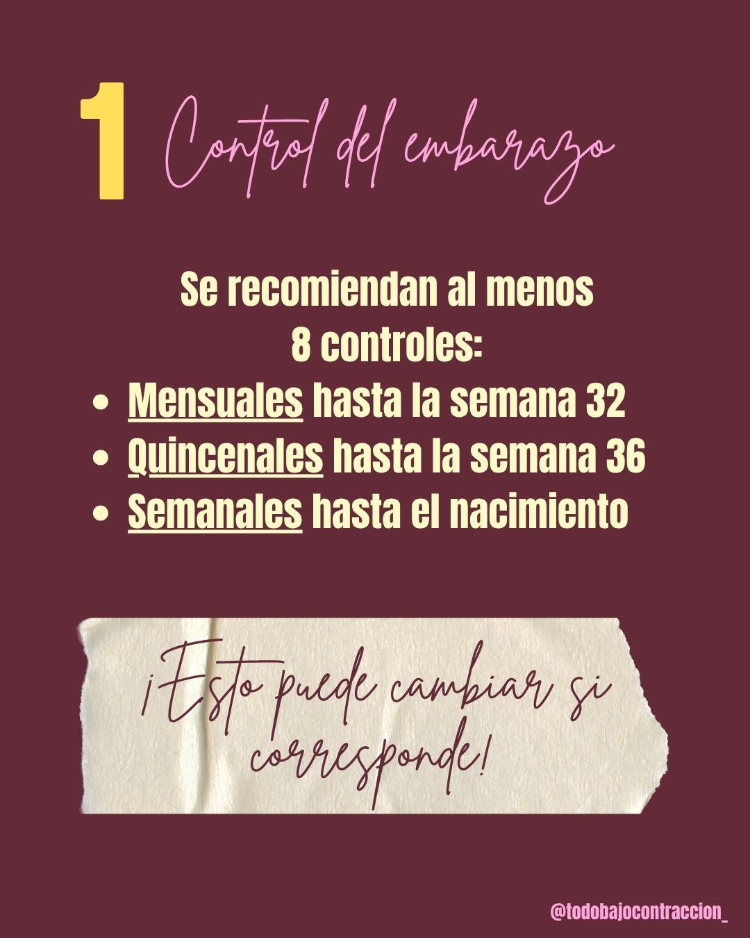 Carrusel ilustrado de Todo Bajo Contracción: Manual de supervivencia del embarazo (2da ed.)