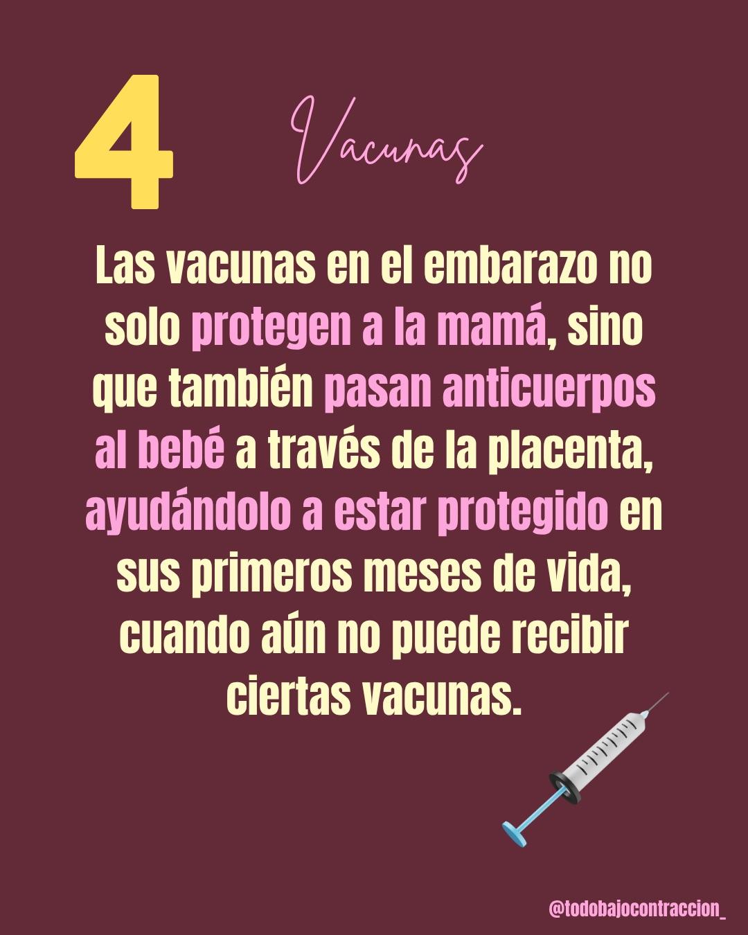 Carrusel ilustrado de Todo Bajo Contracción: Manual de supervivencia del embarazo (2da ed.)